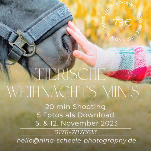 20231013 053548 00002